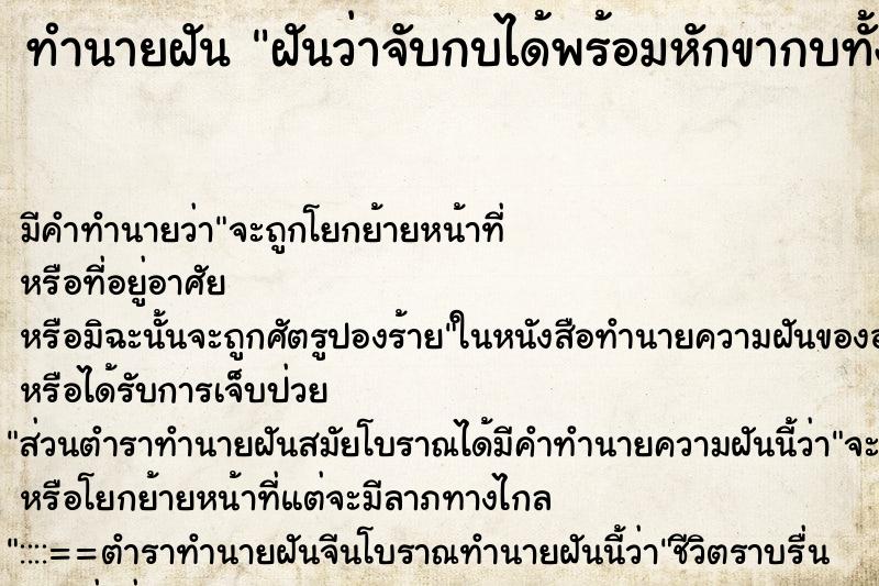 ทำนายฝันฝันว่าจับกบได้พร้อมหักขากบทั้งสองข้าง ทำนายฝันทำนายฝันฝันว่าจับกบได้พร้อมหักขากบทั้งสองข้าง