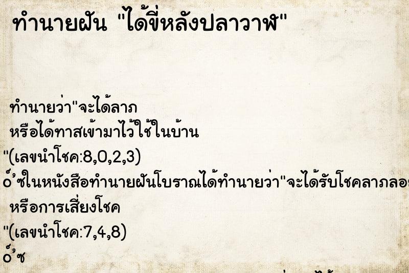 ทำนายฝันได้ขี่หลังปลาวาฬ ทำนายฝันทำนายฝันได้ขี่หลังปลาวาฬ
