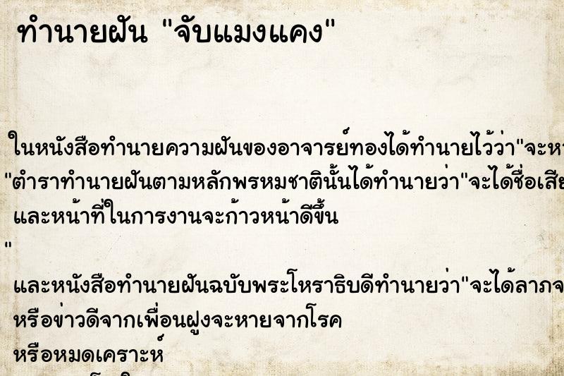 ทำนายฝันจับแมงแคง ทำนายฝันทำนายฝันจับแมงแคง