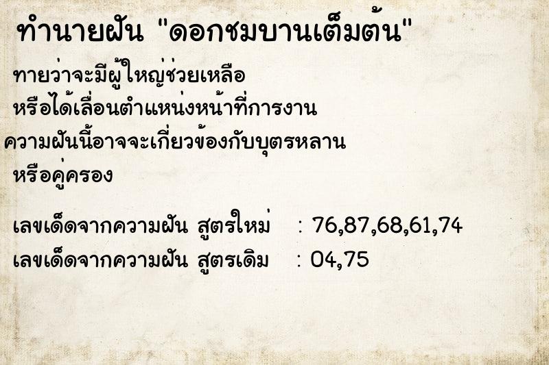 ทำนายฝันดอกชมบานเต็มต้น ทำนายฝันทำนายฝันดอกชมบานเต็มต้น