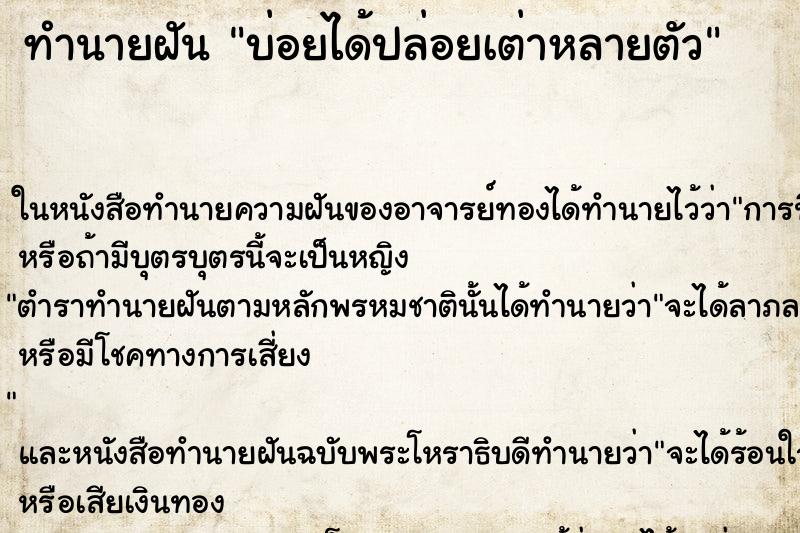 ทำนายฝัน บ่อยได้ปล่อยเต่าหลายตัว ทำนายฝัน บ่อยได้ปล่อยเต่าหลายตัว