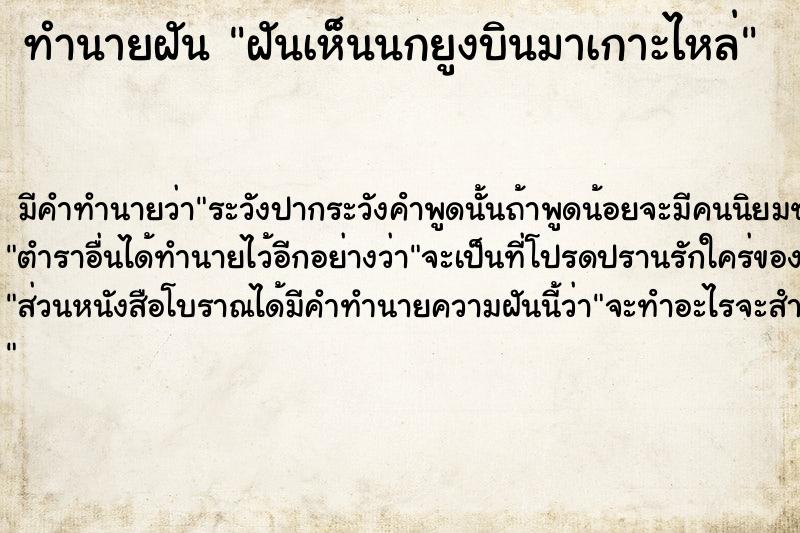ทำนายฝัน ฝันเห็นนกยูงบินมาเกาะไหล่ ทำนายฝัน ฝันเห็นนกยูงบินมาเกาะไหล่