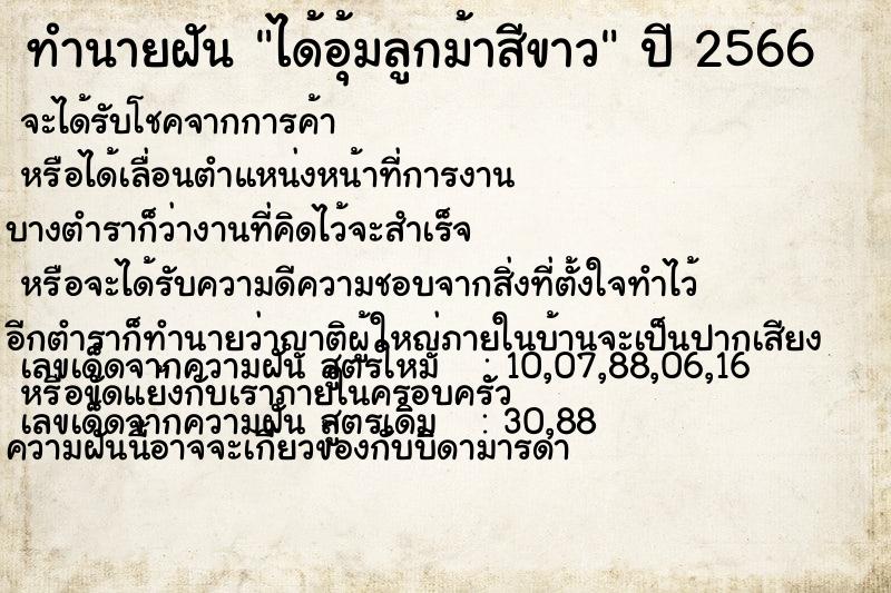 ทำนายฝัน ได้อุ้มลูกม้าสีขาว ทำนายฝัน ได้อุ้มลูกม้าสีขาว