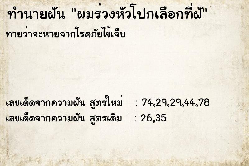 ทำนายฝันผมร่วงหัวโปกเลือกที่ฝั ทำนายฝันทำนายฝันผมร่วงหัวโปกเลือกที่ฝั