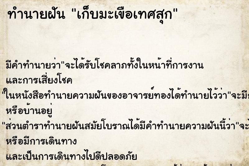 ทำนายฝัน เก็บมะเขือเทศสุก ตำราโบราณ แม่นที่สุดในโลก