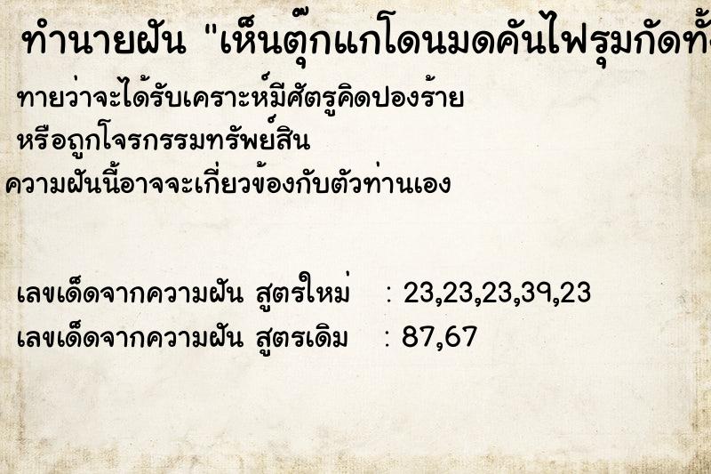 ทำนายฝัน เห็นตุ๊กแกโดนมดคันไฟรุมกัดทั้งตัว2ตัว ทำนายฝัน เห็นตุ๊กแกโดนมดคันไฟรุมกัดทั้งตัว2ตัว