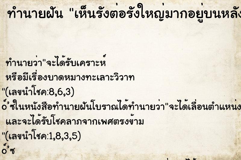 ทำนายฝันเห็นรังต่อรังใหญ่มากอยู่บนหลังคา ทำนายฝันทำนายฝันเห็นรังต่อรังใหญ่มากอยู่บนหลังคา