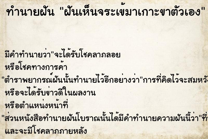 ทำนายฝันฝันเห็นจระเข้มาเกาะขาตัวเอง ทำนายฝันทำนายฝันฝันเห็นจระเข้มาเกาะขาตัวเอง