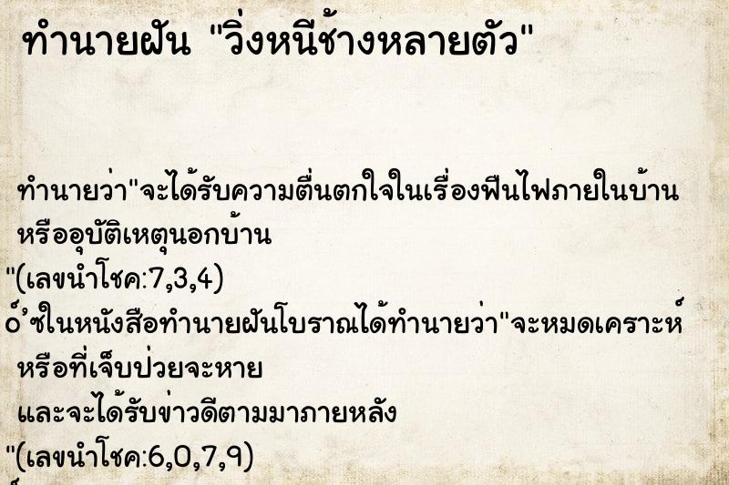ทำนายฝันวิ่งหนีช้างหลายตัว ทำนายฝันทำนายฝันวิ่งหนีช้างหลายตัว