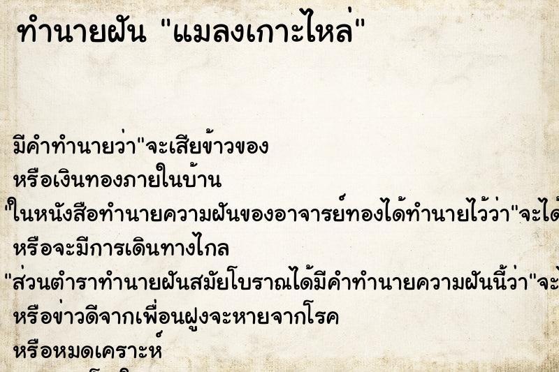ทำนายฝัน แมลงเกาะไหล่ ทำนายฝัน แมลงเกาะไหล่