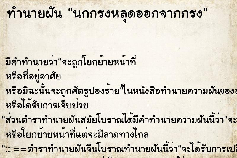 ทำนายฝัน นกกรงหลุดออกจากกรง ทำนายฝัน นกกรงหลุดออกจากกรง