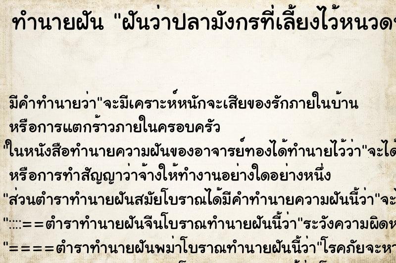 ทำนายฝัน ฝันว่าปลามังกรที่เลี้ยงไว้หนวดหลุด ทำนายฝัน ฝันว่าปลามังกรที่เลี้ยงไว้หนวดหลุด