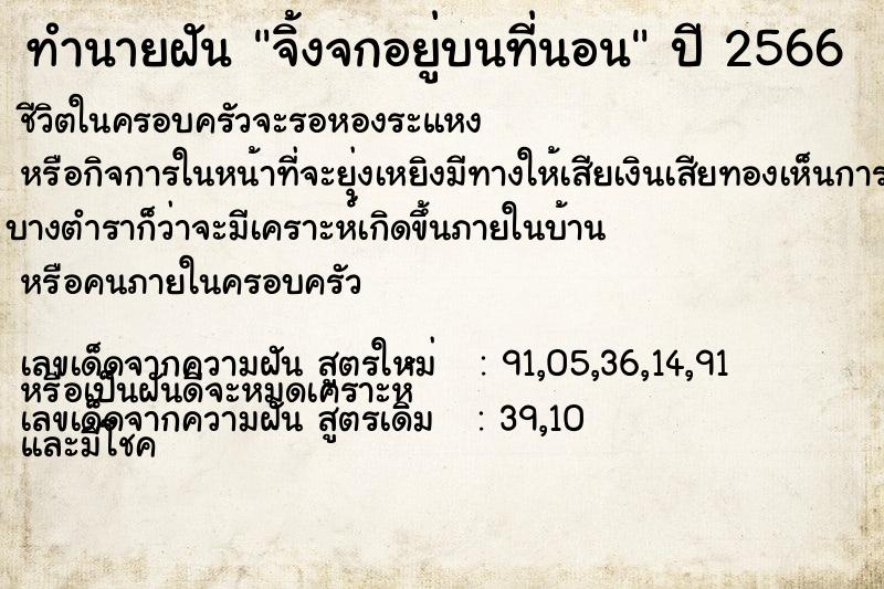 ทำนายฝัน จิ้งจกอยู่บนที่นอน ทำนายฝัน จิ้งจกอยู่บนที่นอน