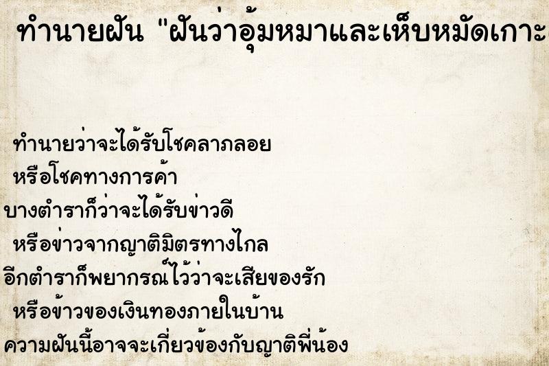 ทำนายฝันทำนายฝันฝันว่าอุ้มหมาและเห็บหมัดเกาะเต็มเลย