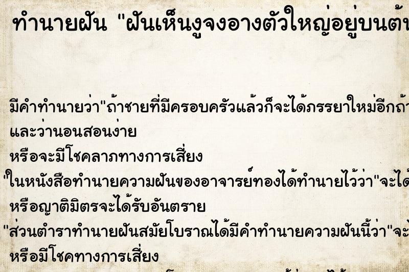 ทำนายฝันฝันเห็นงูจงอางตัวใหญ่อยู่บนต้นไม้ใหญ่ ทำนายฝันทำนายฝันฝันเห็นงูจงอางตัวใหญ่อยู่บนต้นไม้ใหญ่