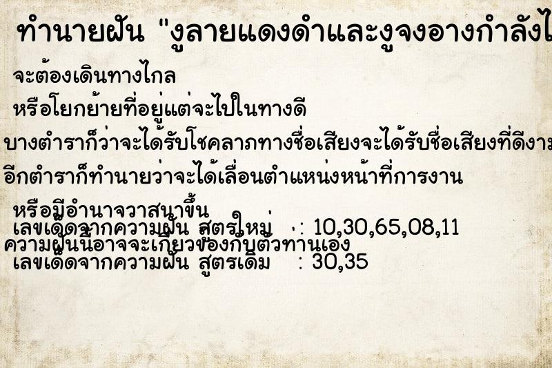 ทำนายฝัน งูลายแดงดำและงูจงอางกำลังไล่ ทำนายฝัน งูลายแดงดำและงูจงอางกำลังไล่