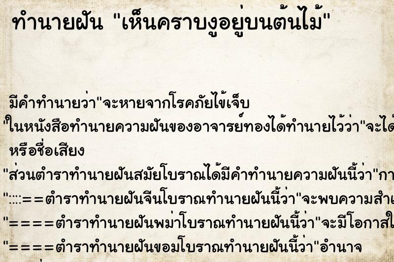 ทำนายฝันเห็นคราบงูอยู่บนต้นไม้ ทำนายฝันทำนายฝันเห็นคราบงูอยู่บนต้นไม้