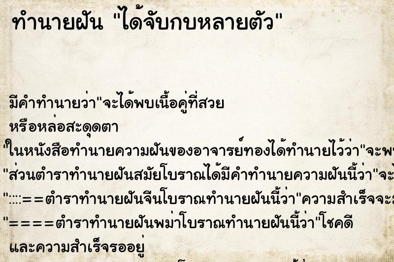 ทำนายฝัน ได้จับกบหลายตัว ทำนายฝัน ได้จับกบหลายตัว