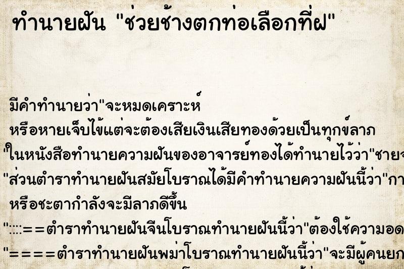 ทำนายฝัน ช่วยช้างตกท่อเลือกที่ฝ ทำนายฝัน ช่วยช้างตกท่อเลือกที่ฝ