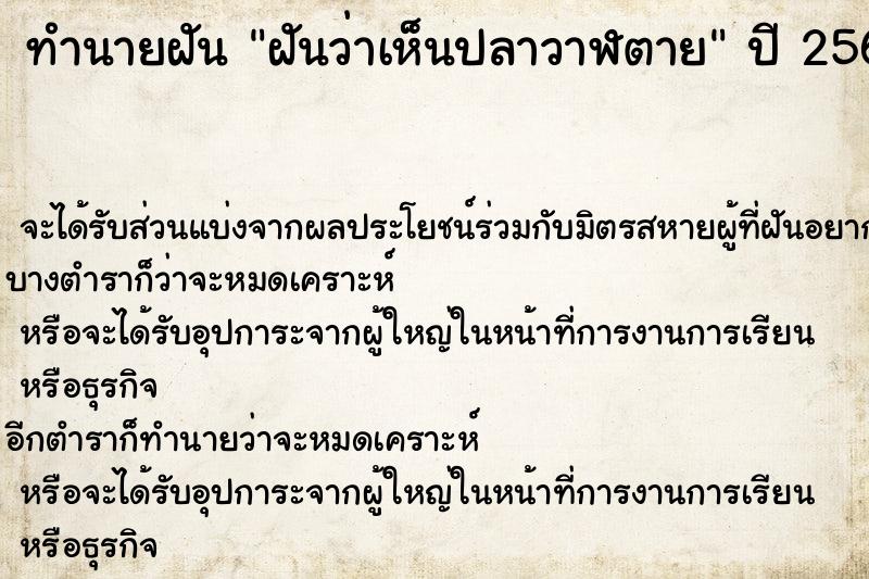 ทำนายฝันฝันว่าเห็นปลาวาฬตาย ทำนายฝันทำนายฝันฝันว่าเห็นปลาวาฬตาย