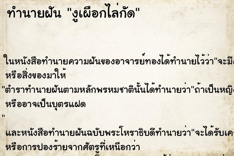ทำนายฝันทำนายฝันงูเผือกไล่กัด