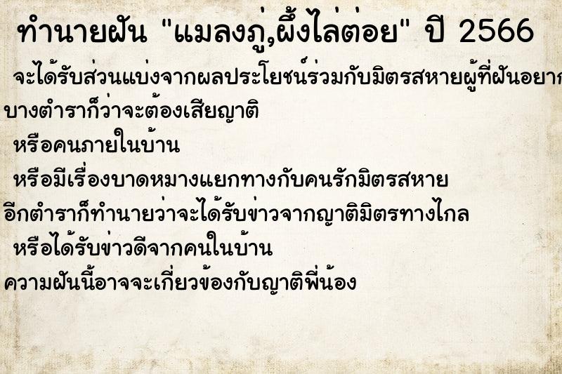 ทำนายฝัน แมลงภู่,ผึ้งไล่ต่อย ทำนายฝัน แมลงภู่,ผึ้งไล่ต่อย