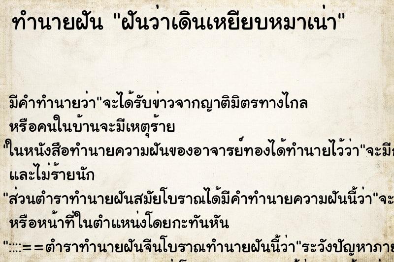 ทำนายฝัน ฝันว่าเดินเหยียบหมาเน่า