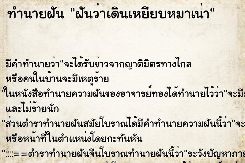 ทำนายฝัน ฝันว่าเดินเหยียบหมาเน่า ตำราโบราณ แม่นที่สุดในโลก