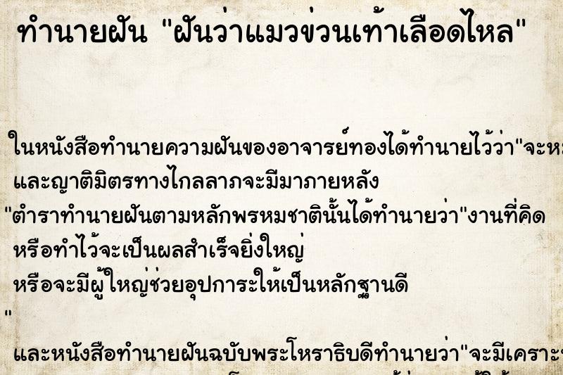 ทำนายฝันฝันว่าแมวข่วนเท้าเลือดไหล ทำนายฝันทำนายฝันฝันว่าแมวข่วนเท้าเลือดไหล