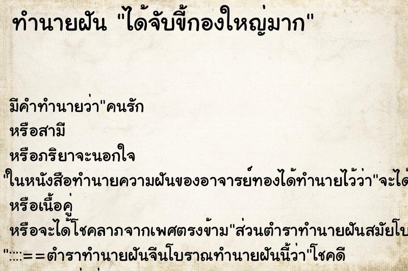 ทำนายฝันได้จับขี้กองใหญ่มาก ทำนายฝันทำนายฝันได้จับขี้กองใหญ่มาก