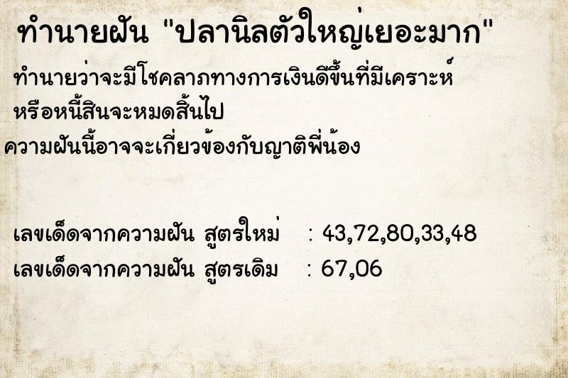 ทำนายฝันปลานิลตัวใหญ่เยอะมาก ทำนายฝันทำนายฝันปลานิลตัวใหญ่เยอะมาก