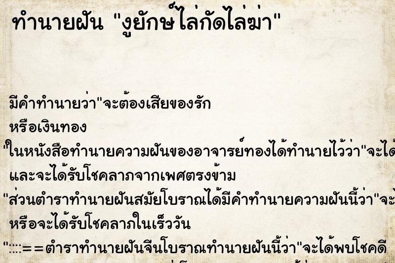 ทำนายฝัน งูยักษ์ไล่กัดไล่ฆ่า ทำนายฝัน งูยักษ์ไล่กัดไล่ฆ่า