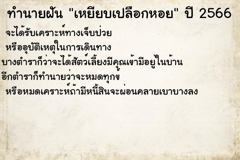 ทำนายฝัน เหยียบเปลือกหอย ทำนายฝัน เหยียบเปลือกหอย