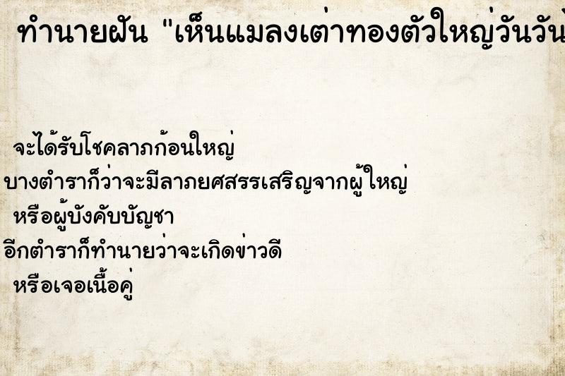 ทำนายฝันเห็นแมลงเต่าทองตัวใหญ่วันวันไม่รู้ ทำนายฝันทำนายฝันเห็นแมลงเต่าทองตัวใหญ่วันวันไม่รู้