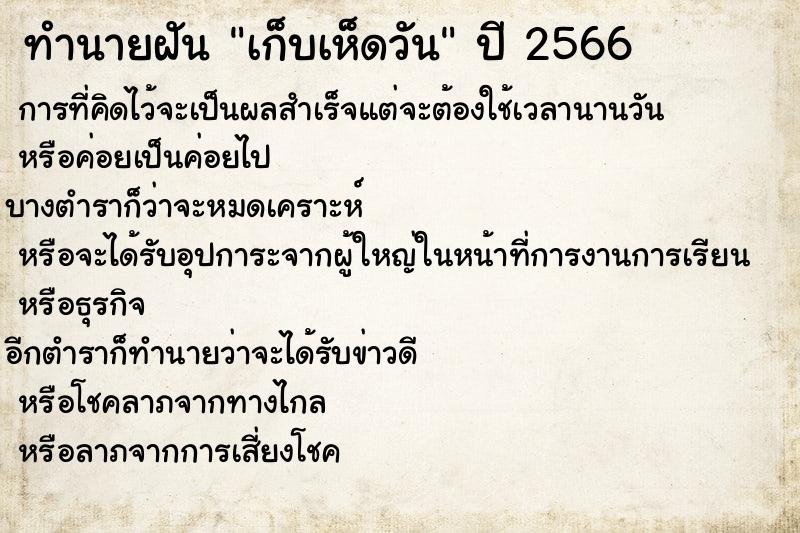 ทำนายฝัน เก็บเห็ดวัน ทำนายฝัน เก็บเห็ดวัน