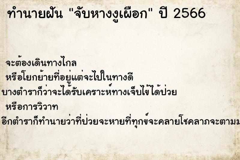 ทำนายฝันทำนายฝันจับหางงูเผือก