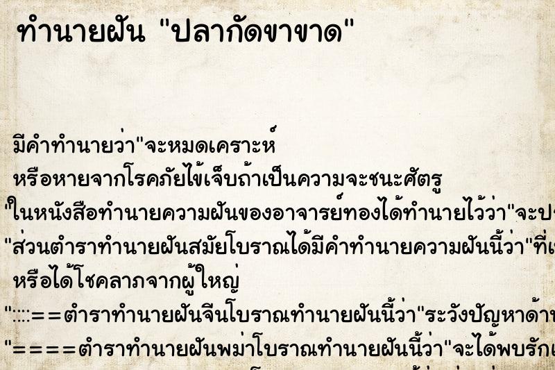 ทำนายฝัน ปลากัดขาขาด ทำนายฝัน ปลากัดขาขาด