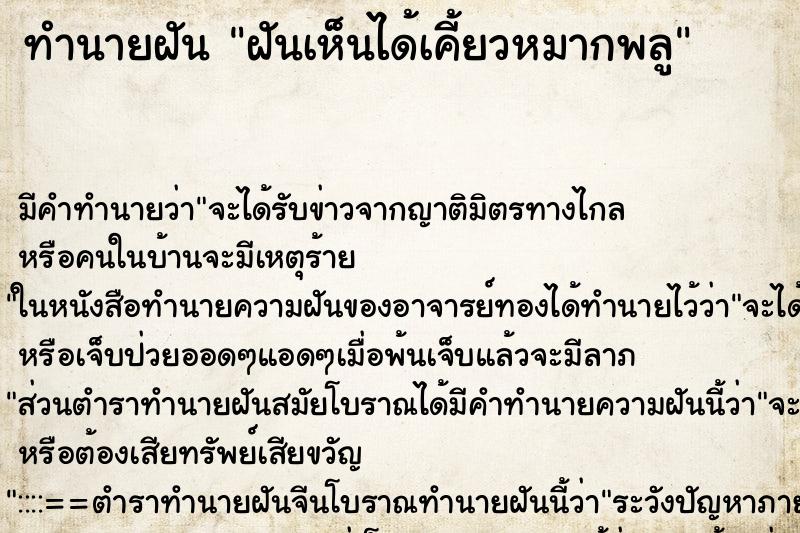 ทำนายฝันฝันเห็นได้เคี้ยวหมากพลู ทำนายฝันทำนายฝันฝันเห็นได้เคี้ยวหมากพลู