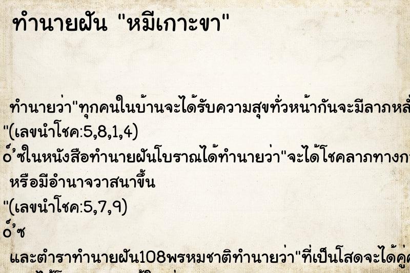ทำนายฝันทำนายฝันหมีเกาะขา