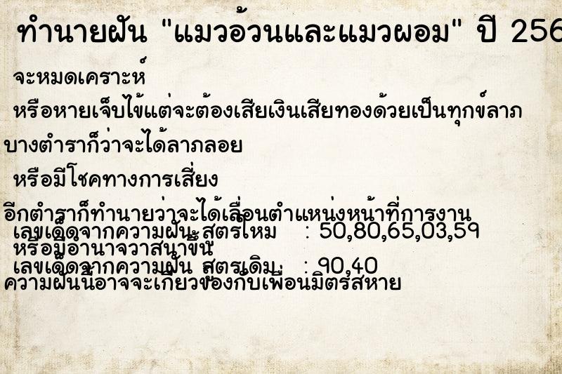 ทำนายฝัน แมวอ้วนและแมวผอม ทำนายฝัน แมวอ้วนและแมวผอม