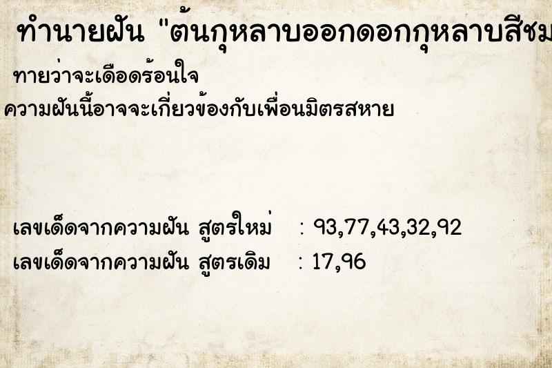 ทำนายฝัน ต้นกุหลาบออกดอกกุหลาบสีชมพูเต็มต้น ทำนายฝัน ต้นกุหลาบออกดอกกุหลาบสีชมพูเต็มต้น