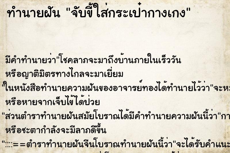 ทำนายฝัน จับขี้ใส่กระเป๋ากางเกง ทำนายฝัน จับขี้ใส่กระเป๋ากางเกง