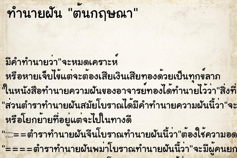 ทำนายฝันต้นกฤษณา ทำนายฝันทำนายฝันต้นกฤษณา