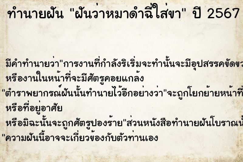 ทำนายฝันฝันว่าหมาดำฉี่ใส่ขา ทำนายฝันทำนายฝันฝันว่าหมาดำฉี่ใส่ขา