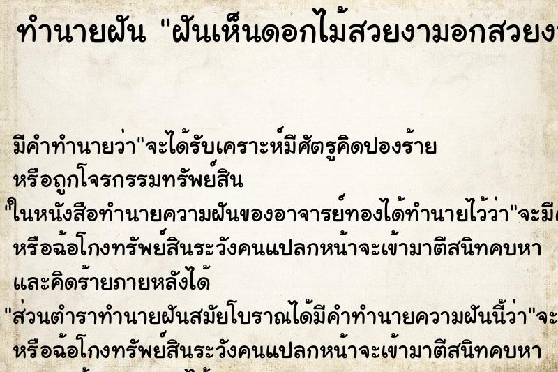 ทำนายฝัน ฝันเห็นดอกไม้สวยงามอกสวยงาม ทำนายฝัน ฝันเห็นดอกไม้สวยงามอกสวยงาม