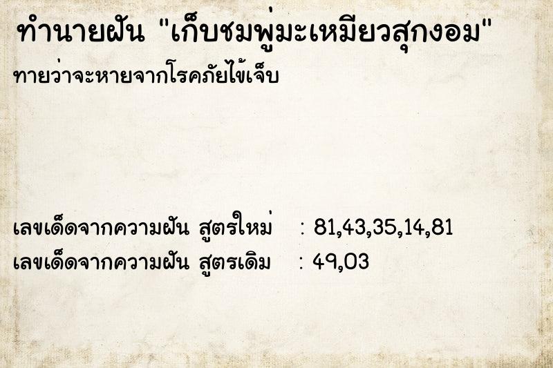 ทำนายฝัน เก็บชมพู่มะเหมียวสุกงอม ทำนายฝัน เก็บชมพู่มะเหมียวสุกงอม