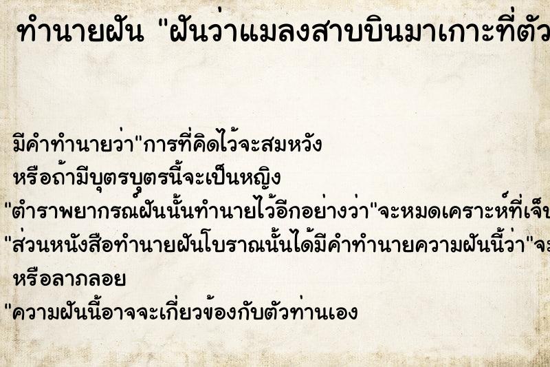 ทำนายฝันฝันว่าแมลงสาบบินมาเกาะที่ตัว ทำนายฝันทำนายฝันฝันว่าแมลงสาบบินมาเกาะที่ตัว