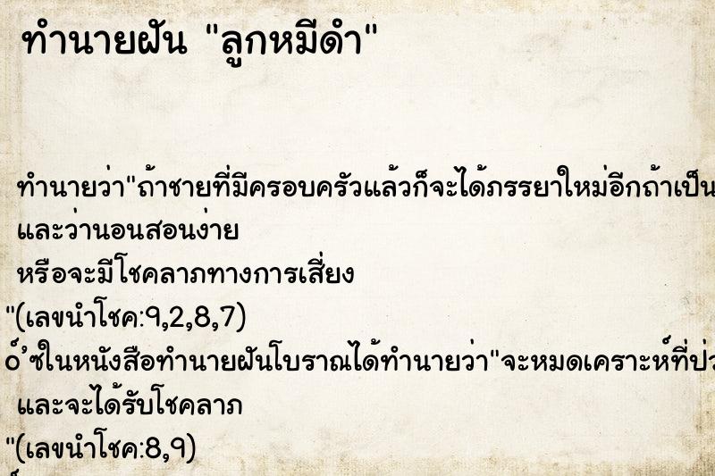 ทำนายฝันลูกหมีดำ ทำนายฝันทำนายฝันลูกหมีดำ