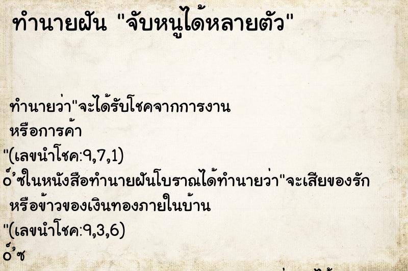 ทำนายฝัน จับหนูได้หลายตัว ทำนายฝัน จับหนูได้หลายตัว