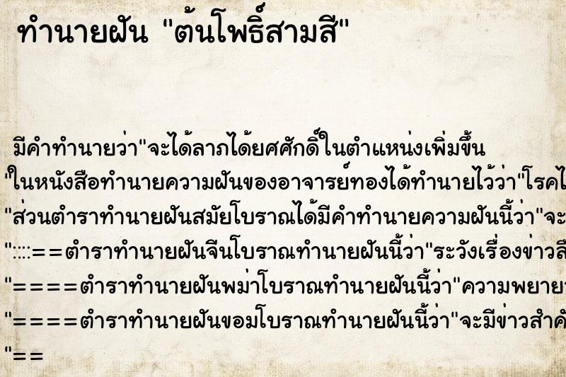 ทำนายฝันต้นโพธิ์สามสี ทำนายฝันทำนายฝันต้นโพธิ์สามสี